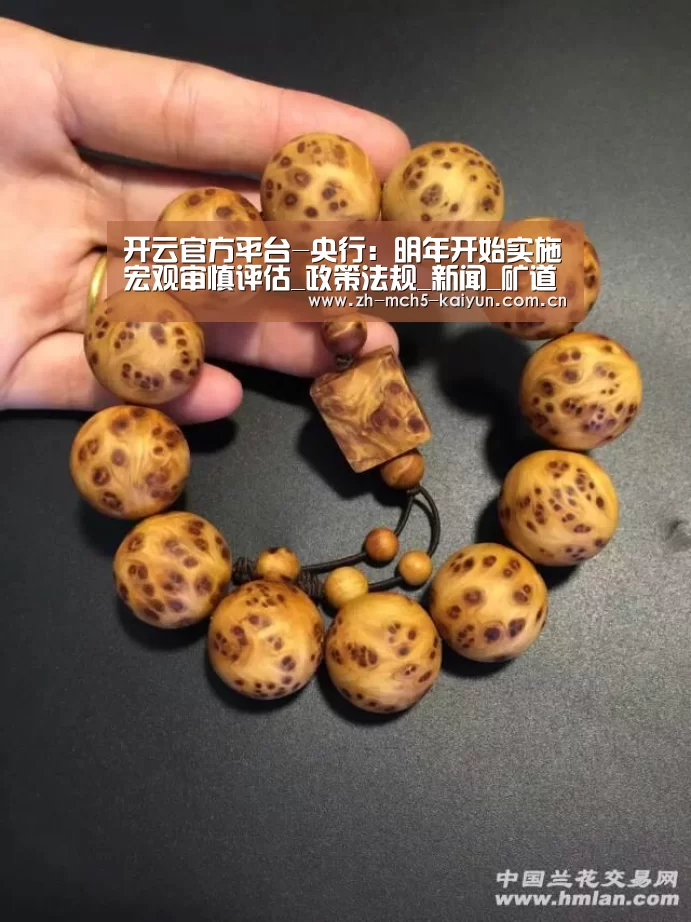 开云权威入口