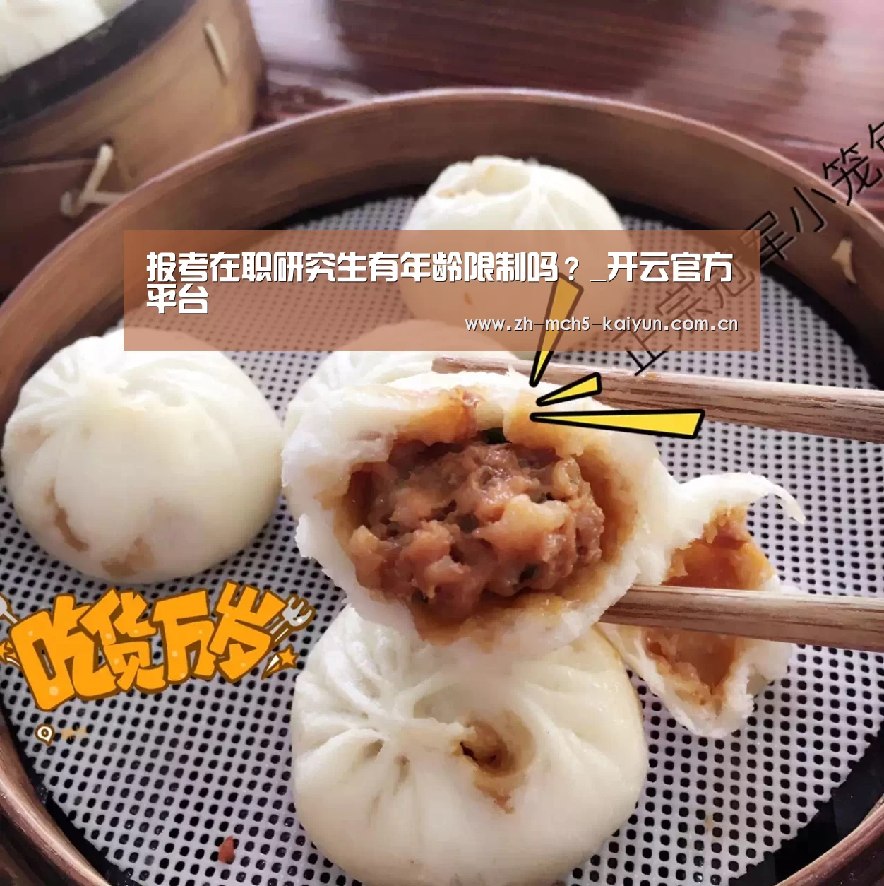 开云中国官网