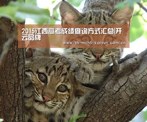 2015江西高考成绩查询方式汇总|开云品牌(图2) 开云中国官网
