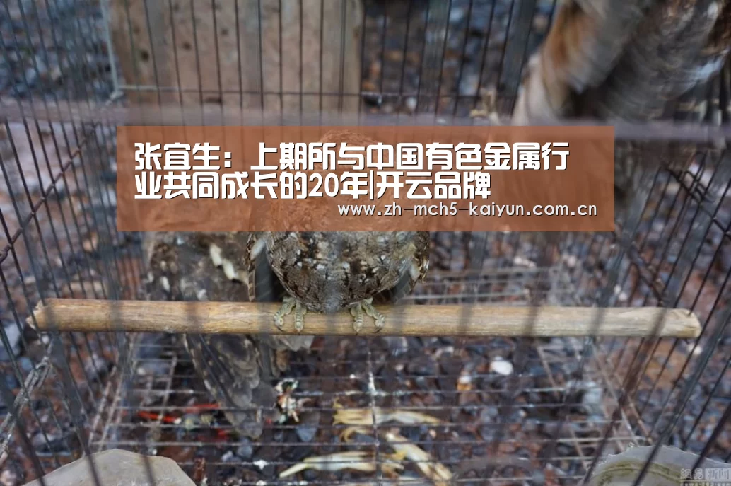 张宜生:上期所与中国有色金属行业共同成长的20年|开云品牌(图1) 开云品牌