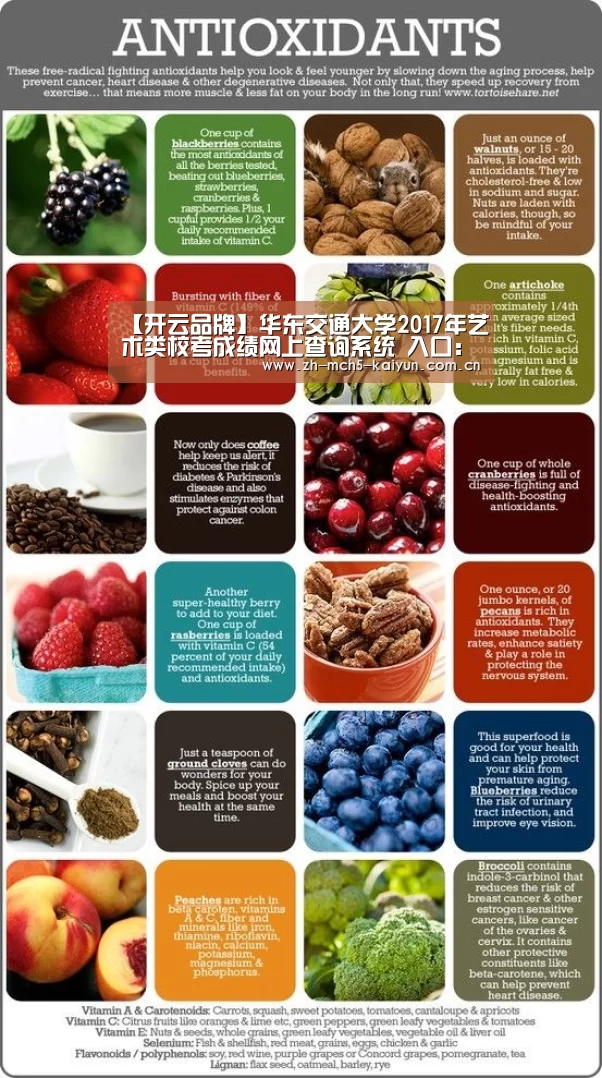开云权威入口