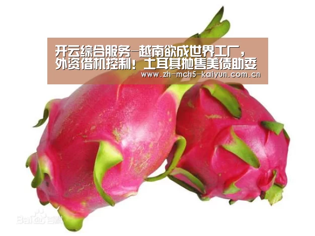 开云权威入口