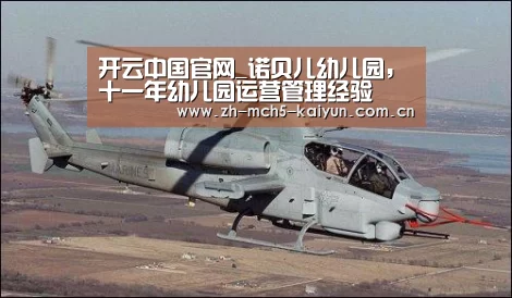 开云中国官网_诺贝儿幼儿园,十一年幼儿园运营管理经验(图2) 开云中国官网